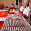 Homeopathic Medicine Homeopathic Medicine